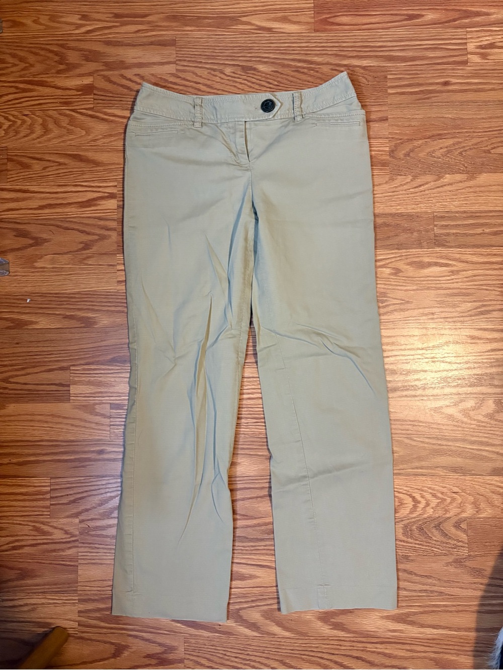 LOFT size 2P ‘Marisa’ pants